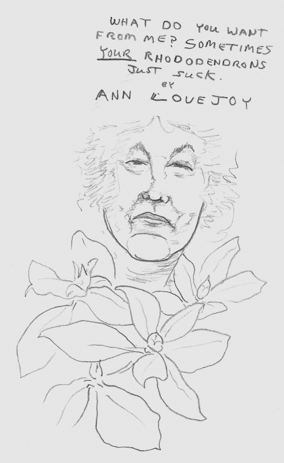 Ann Lovejoy thinks your rhodies stink