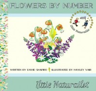 Flowers by Number
