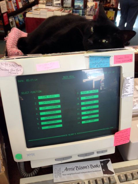 Molly Bloom the cat on computer monitor