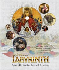 labyrinth-visualhist
