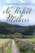 cover of novel No Perfect Mothers showing a path and a mountain
